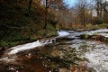 Free An Autumn Stream Stock Photos - 17078033