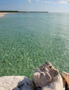 Free Sea Shell And Sea Royalty Free Stock Image - 1714176