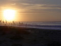 Free Sea Oats Stock Photos - 1714203