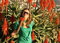 Free Beautiful Young Woman With Red Flowers Royalty Free Stock Image - 1713446