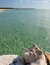 Free Sea Shell And Sea Royalty Free Stock Image - 1714176
