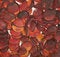 Free Red & Orange Stones Stock Images - 1716984