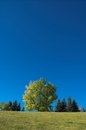 Free Fall Season Royalty Free Stock Photo - 1729705