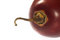 Free Tropical Fruit Tamarillo Stock Photos - 1726053