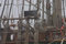 Free Cordage Of Sailing-ship Stock Photos - 1726183