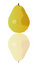 Free Pear Fruit Royalty Free Stock Images - 17251969