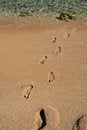 Free Footsteps On Sand Royalty Free Stock Images - 1733369