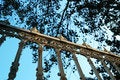 Free Metallic Fence Stock Photos - 17387163