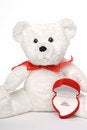 Free Bear Holding Engagement Ring 002 Royalty Free Stock Photo - 1745995
