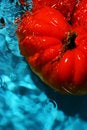 Free Tomato Wash Royalty Free Stock Photo - 1747335
