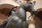 Free Antuque Horseman Statue Stock Photography - 1741332