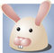 Free Rabbit Cartoon Royalty Free Stock Photos - 1748128