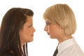 Free Business Woman S Teamwork Stock Photo - 1757610