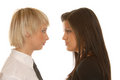 Free Business Woman S Teamwork Stock Images - 1757664