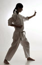 Free Girl Practicing Karate Royalty Free Stock Photo - 17518375