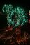 Free Palm Tree Lights Royalty Free Stock Image - 17519596