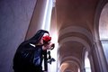 Free Virgin Mary With Rose Stock Photography - 1767282