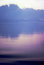 Free Purple Island II Royalty Free Stock Images - 1767489