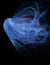 Free Blue Color Fractal Over Black Background Royalty Free Stock Image - 17697416