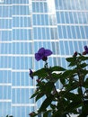 Free Urban View Stock Photo - 1778030
