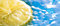Free Fresh Fruit, Lemon Royalty Free Stock Photo - 1777135