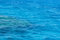 Free Sea Water - Texture Stock Photography - 17770012