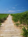 Free Wooden Path Stock Photo - 1783000