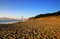 Free Baker Beach, San Francisco Royalty Free Stock Photography - 1790137