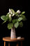 Free Still Life With Roses Royalty Free Stock Photos - 17983948