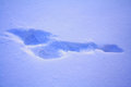 Free Footprint On Fresh Snow Stock Photos - 1806303