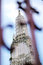 Free Wat Arun, Bangkok, Thailand Stock Photos - 1805003