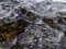 Free Beautiful Forest Frozen Stream Stock Image - 1816041