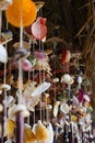 Free Conch Stock Photo - 1824640