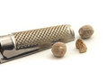 Free Nutmeg And Grater Royalty Free Stock Photos - 1827878