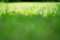 Free Green Grass Royalty Free Stock Photo - 18283025