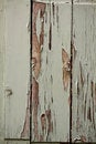 Free Wooden Background Royalty Free Stock Photo - 18290555
