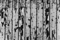 Free Peeling Paint Stock Photo - 1835570