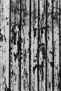 Free Peeling Paint Stock Photography - 1835572