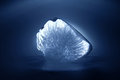 Free Frosen Oxygen Royalty Free Stock Photos - 1837158