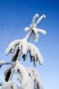 Free Heavy Snow Stock Images - 1839294