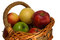 Free Apples Stock Photos - 1831543