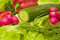 Free Green And Red Vegetables Stock Image - 1835341