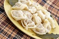 Free Ravioli With Meat And Bay Leaf Royalty Free Stock Photos - 1848458
