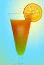 Free Orange Drink With Orange Slice On Side Royalty Free Stock Images - 1849269