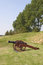 Free Cannon Royalty Free Stock Image - 1849736