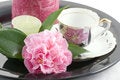 Free A Cup Of Tea For One Royalty Free Stock Photo - 1850485