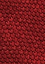 Free Snakes_texture_big_red Royalty Free Stock Image - 1851836