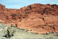 Free Desert Scene Royalty Free Stock Image - 1860676