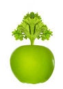 Free Green Apple Royalty Free Stock Photos - 1860958
