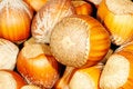 Free Hazel Nuts. Stock Photography - 1861002
